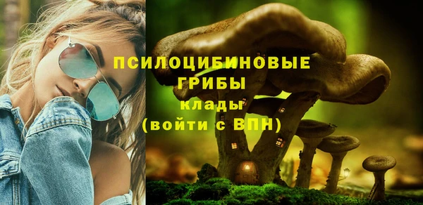 дмт Алексеевка